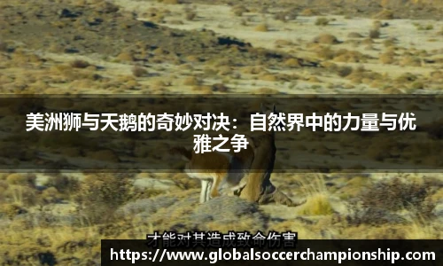 世预赛竞猜